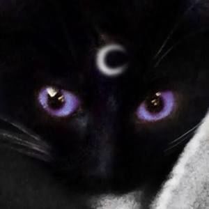 Meet your Posher, Kaydence